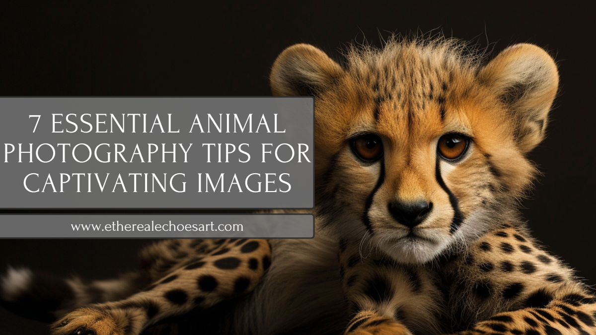 Close-up of a cheetah cub gazing directly at the camera, showcasing the depth and detail possible in animal photography, serves as a prime example of the power of animal photography tips in practice.