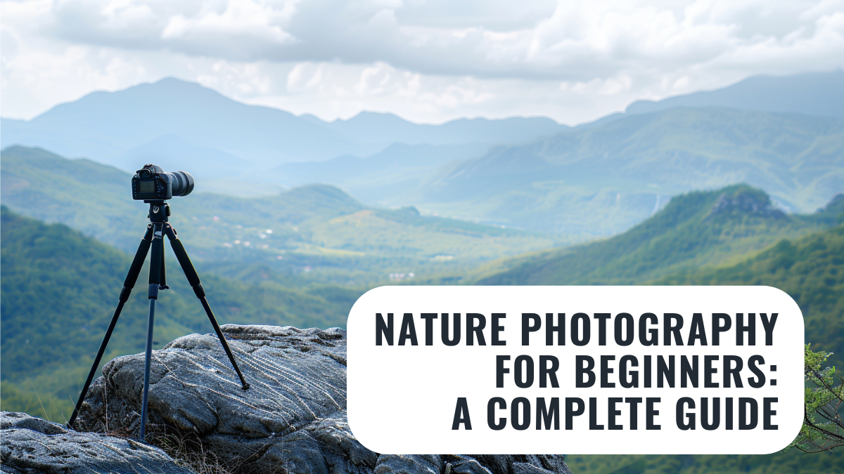 A DSLR camera on a tripod overlooking a scenic landscape with mountains in the distance, representing the adventure of nature photography for beginners.